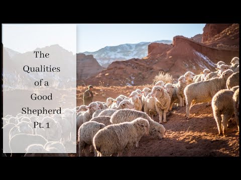 Qualities of a Good Shepherd ~ Pt. 1