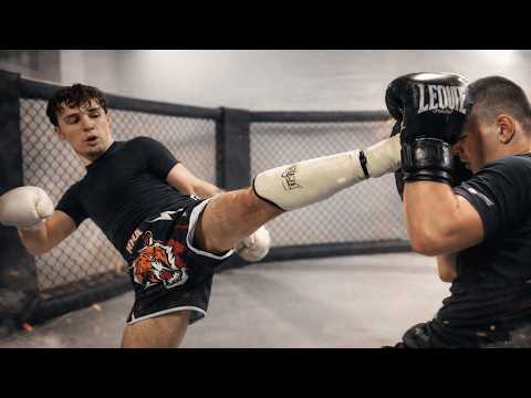 Sparring & Spaß – Inside unserer Gym-Woche | Stall MMA Vlog