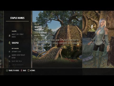 House Decorating Guide For All Three Types Of Eso Housing Elder