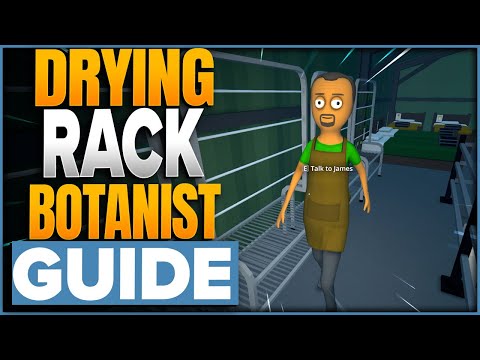 Come far lavorare i botanici sull'essiccazione automatica in Programma 1