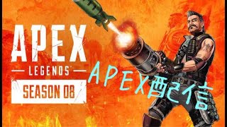 初心者APEX配信