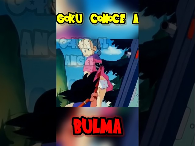 Vídeo relacionado con TOEI ANIMATION Toalla Playa Micro Niño Dragon Ball 068