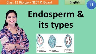 Endosperm Formation |  Types of Endosperm  (Class 12)