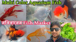 Sunday Super Fish Collection Serampore Haat | Shrirampur Fish Market | Aquarium Fish Serampore Haat 