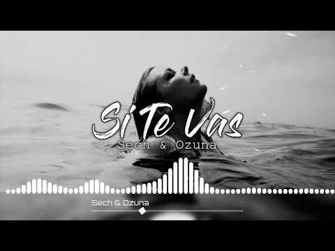 Sech, Ozuna - Si Te Vas (Chiiro FTNK Remix)