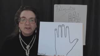Introduction to Palmistry l – Hand Shape and Fingers