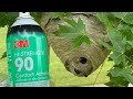 Hornet nest vs 3M spray adhesive. A anywhere glue board trap
