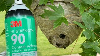 Hornet nest vs 3M spray adhesive. A anywhere glue board trap