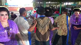 Download lagu TAYUB TUBAN : TEMBANG TRESNO mp3 Download lagu TAYUB TUBAN : TEMBANG TRESNO mp3