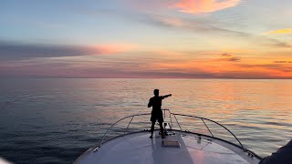 2 Days of Dolphins, Tuna, Mahi, & more !