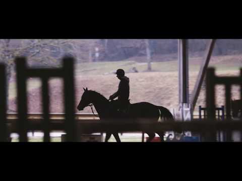 EQUISTRO Julien Gonin Côté Coulisses