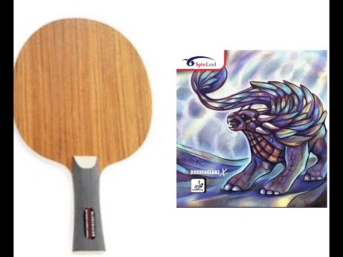 Dr Neubauer Matador Hybrid Carbon &  Spinlord Dornenglanz X    ox