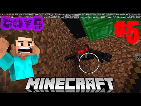 Ultimate Minecraft Mansion Build Day 5/100