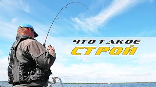 Что означает на спиннинге fast