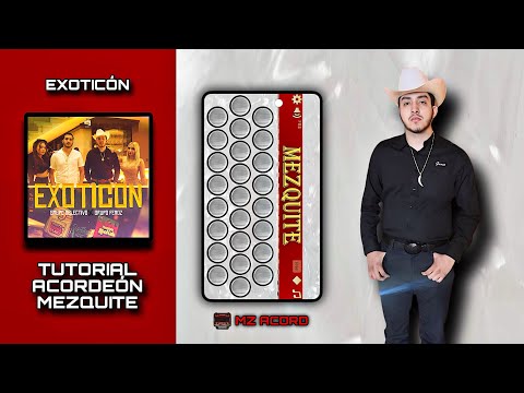 Exoticón | Grupo Selectivo x Grupo Feroz | Tutorial Acordeón Mezquite