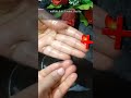 Best Way To Get Rid Of BURNING SENSATION Of Hands After Cutting Green Chili Shorts