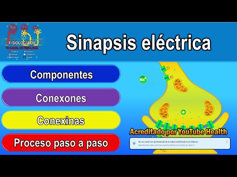 Sinapsis eléctrica