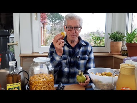 Japanese Quince - Tincture and Juice - How to Make It - Melarosa #28