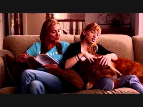 Блумингтон (2010). Блумингтон отзывы. Сша. Блумингтон (2010). Блумингтон bloomington, 2010.