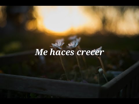 Me haces crecer (Lyric Video) - Marcela Gándara