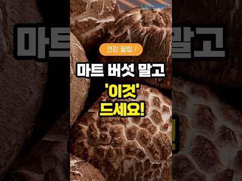 [제주달]가정용 상황버섯 B세트 400g 건강 선물