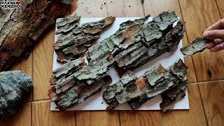Download lagu Making a 3D Aquarium background from tree bark & ​​how to remove tannin!!! mp3