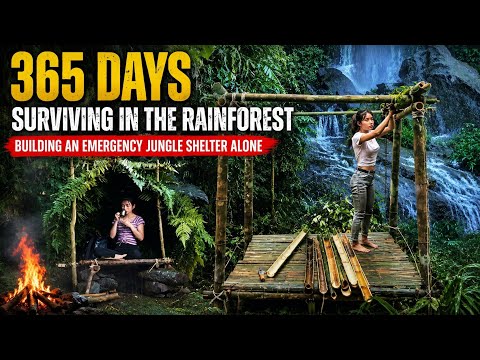 365 Days Surviving in the Rainforest – Building an Emergency Jungle Shelter Alone