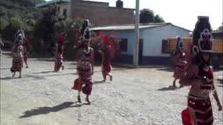 preview picture of video 'Danza peregrinacion 8 diciciembre 2012 Ixtapa Nayarit'