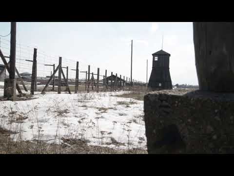 Caring Corrupted (DW)