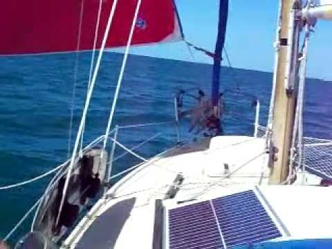 Albin Vega 27 sailing downwind by the lee wing and wing