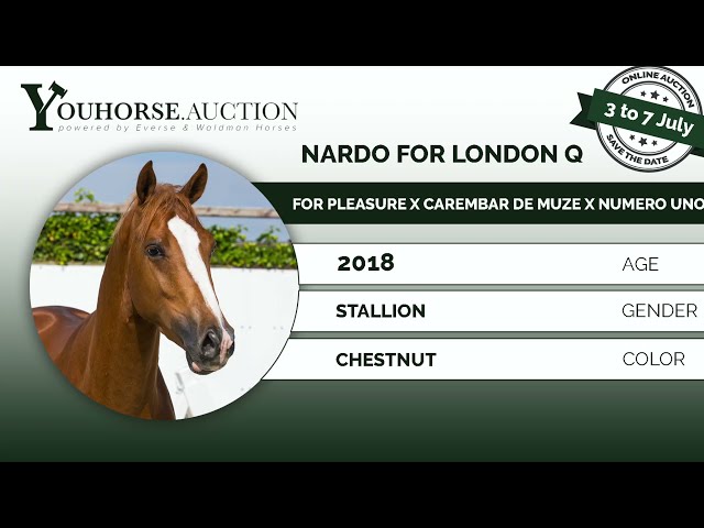 Nardo For London Q