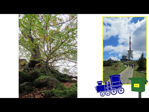 HWN 209 Moltkewarte - noch 6 Stempel bis zur Kaiserkrone