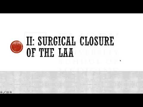Left Atrial Appendage Closure for Stroke Prevention