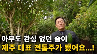 고향도 아닌 제주도에 내려와 사업을 시작한 이유 [제주귀촌, 황칠나무]