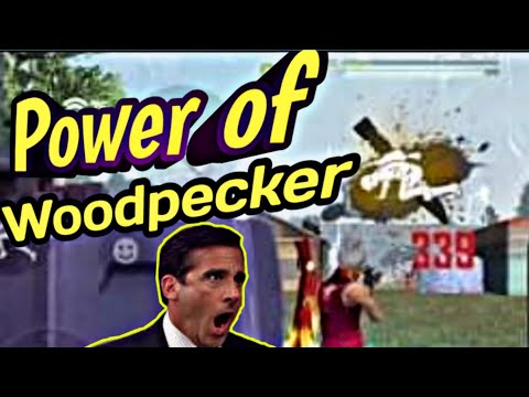 Team 7KFF vs Team NP Garena Free fire 🔥|| Coustom Game play || Challenge Brothers.