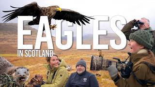 Download lagu 10-Year-Old Wildlife Photographer Searches for Wild Eagles in Scotland! mp3