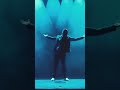 My Love Is Gone Status Video