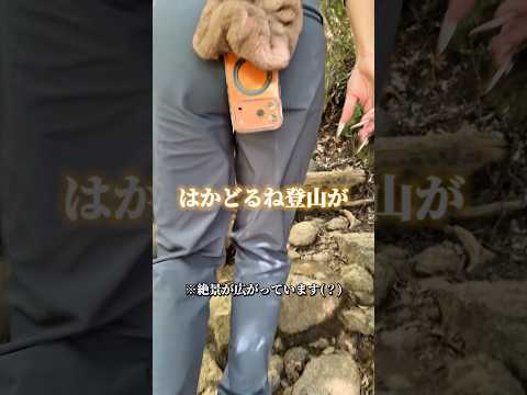 後ろを歩くと膨大な景色が見れます（？）www#shorts