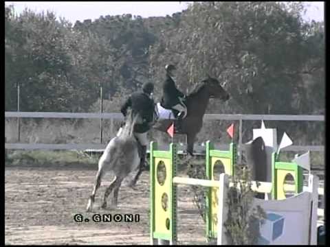 Pilgrim equiconfor 2009 1 Allevamento dell'AureaDragonda