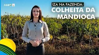 Miniatura do vídeo