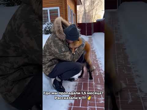 Когда нейросеть учится рисовать лису 😂 #shorts