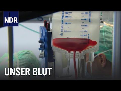 Lebensspender und Lebensretter | Die Nordreportage | NDR Doku