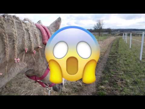 My first real video - Shahina explores