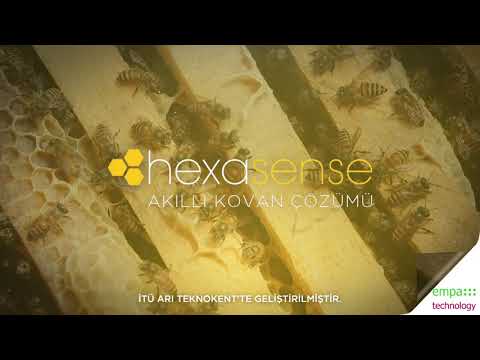Akıllı Kovan Çözümü Hexasense