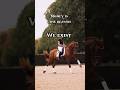 Equestrian Horse Edit Showjumping Viral Trending Equines Equestrianvibes Fyp Fypシ