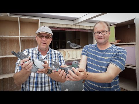 National winners ZLU 2019 - Pau: Baas & Berg  (Eng sub)