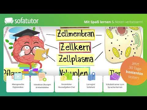 Zelldifferenzierung  – Organisationsebenen von Tier- und Pflanzenzellen einfach erklärt – Biologie