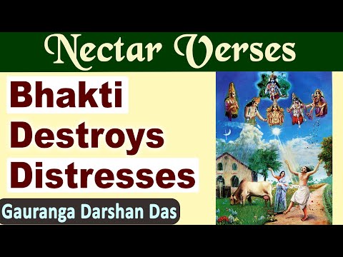 Bhakti destroys distresses | Nectar Verses (SB 3.25.23) | Gauranga Darshan Das