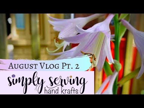 August 2019 Vlog Pt 2 by Simply Serving
