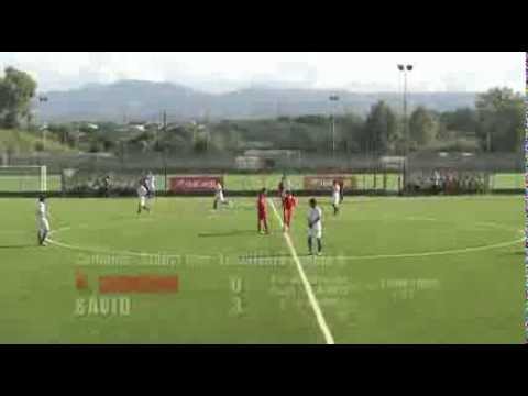 N.  Lodigiani -  Savio - sintesi - 12 ottobre 2013